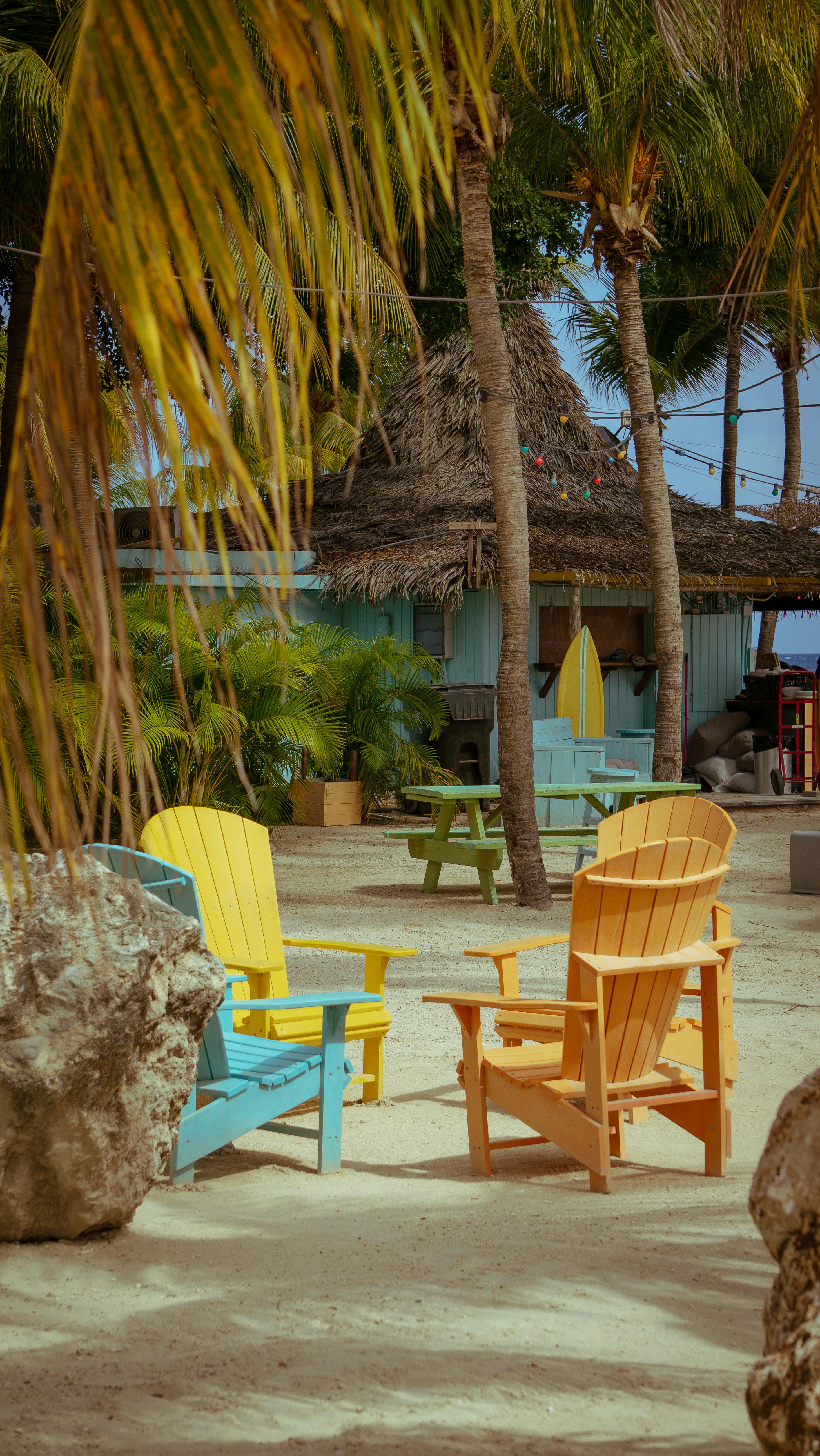 Tropical beach resort with colorful chairs and palm trees